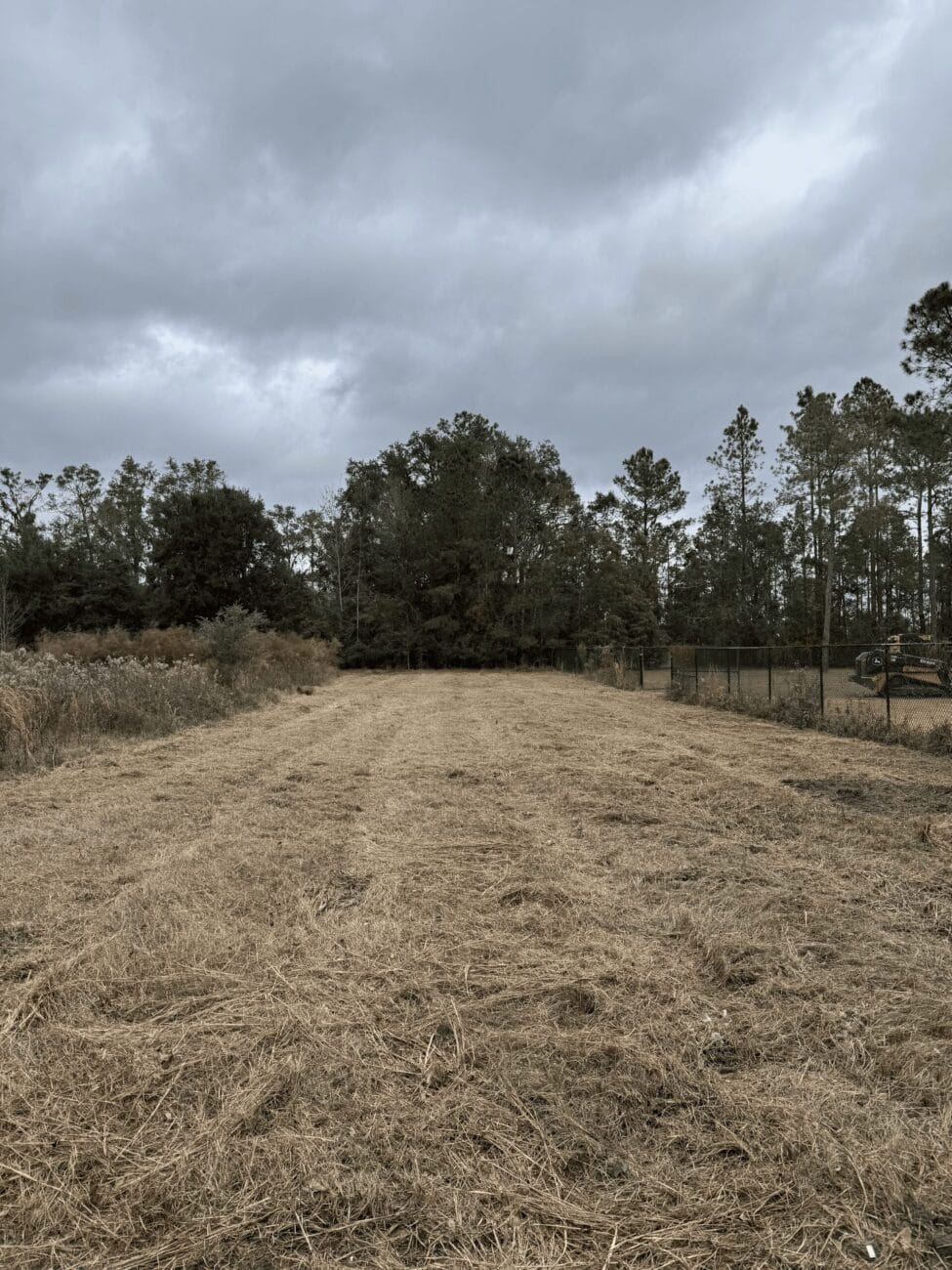 A field with dry grass under an overcast sky, bordered by trees and a fence on the right.