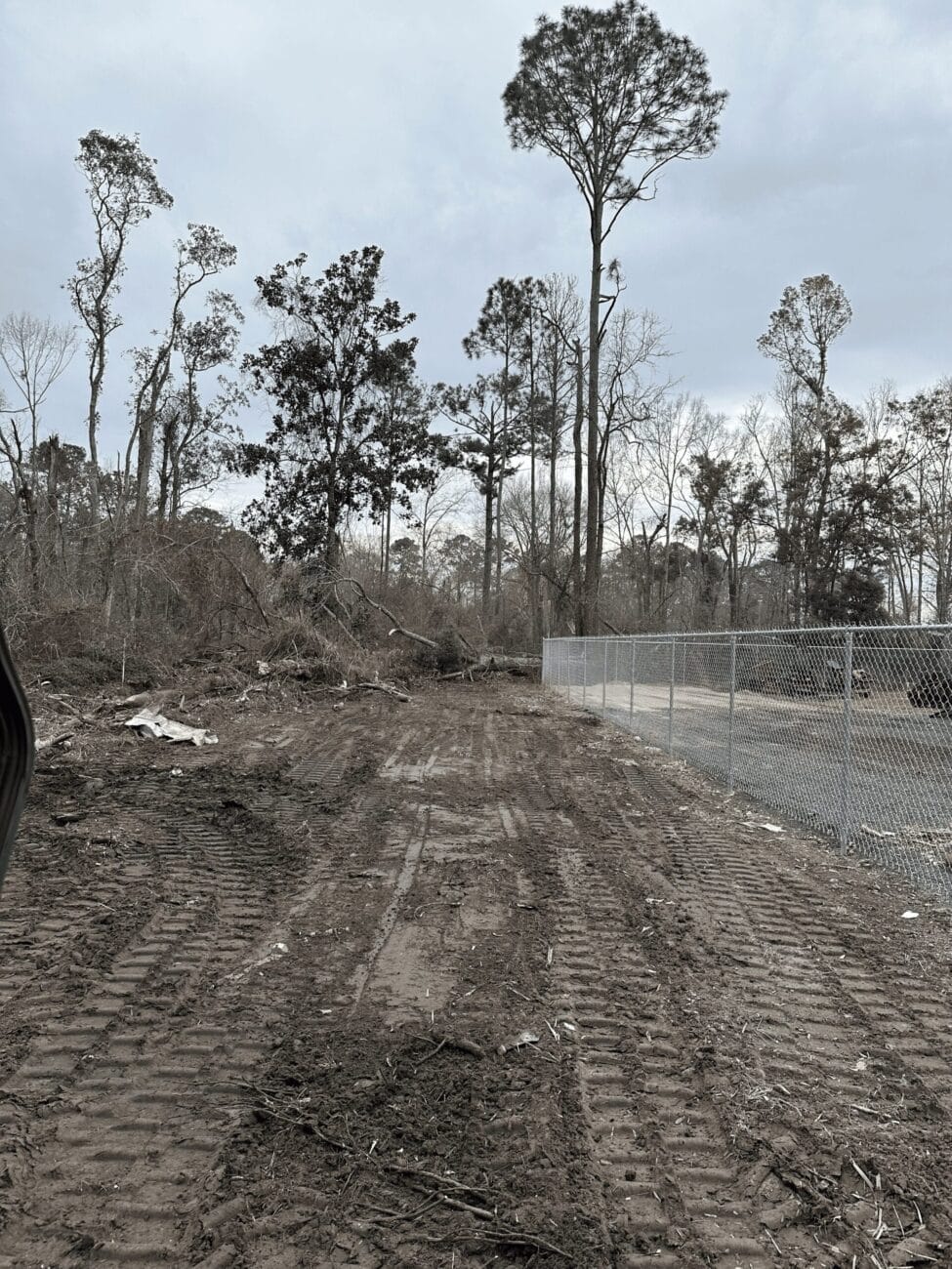 Cleared muddy path with tire tracks alongside a chain-link fence and tall trees in the background under an overcast sky.