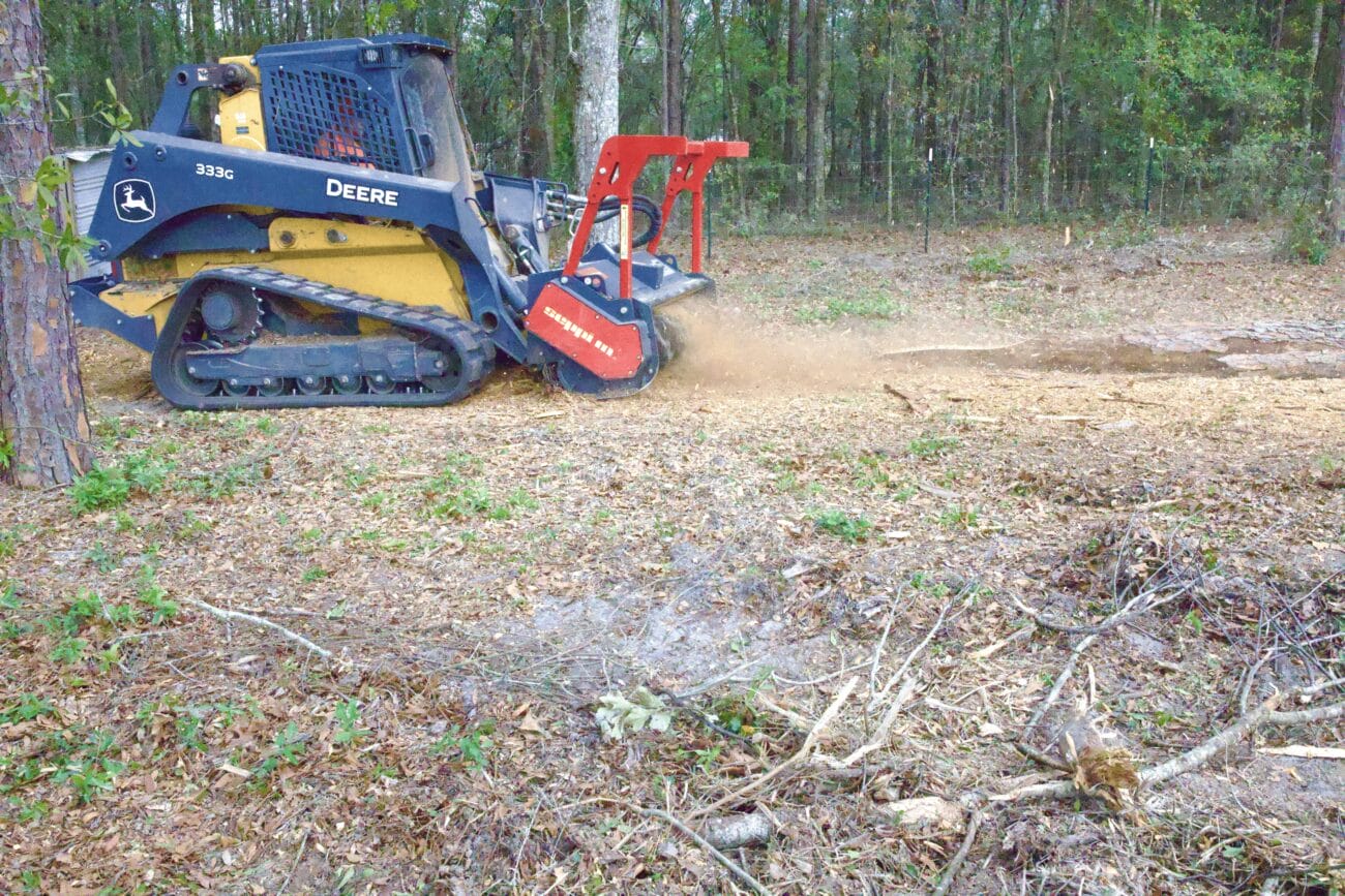 A forestry mulcher attachment on a skid steer processes felled trees in a forested area, leaving mulch behind.